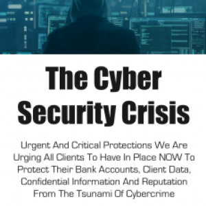 cyber-security-crisis2-231x300-1 (1)